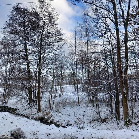Szewska Pasja Agroturystyka Wiejska Leśna Esterno foto