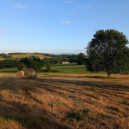 Szewska Pasja Agroturystyka Wiejska Leśna Esterno foto