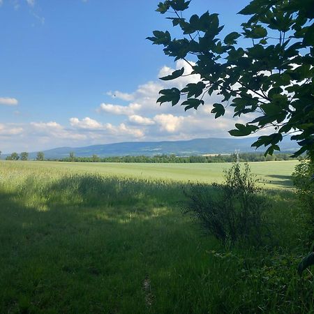 Szewska Pasja Agroturystyka Wiejska Leśna Esterno foto