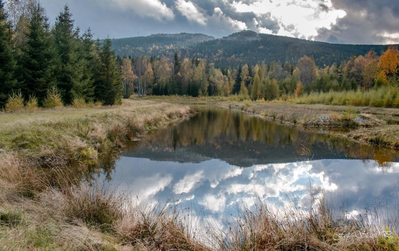 Szewska Pasja Agroturystyka Wiejska Leśna Esterno foto