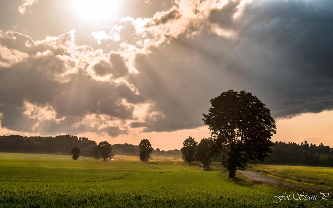 Szewska Pasja Agroturystyka Wiejska Leśna Esterno foto