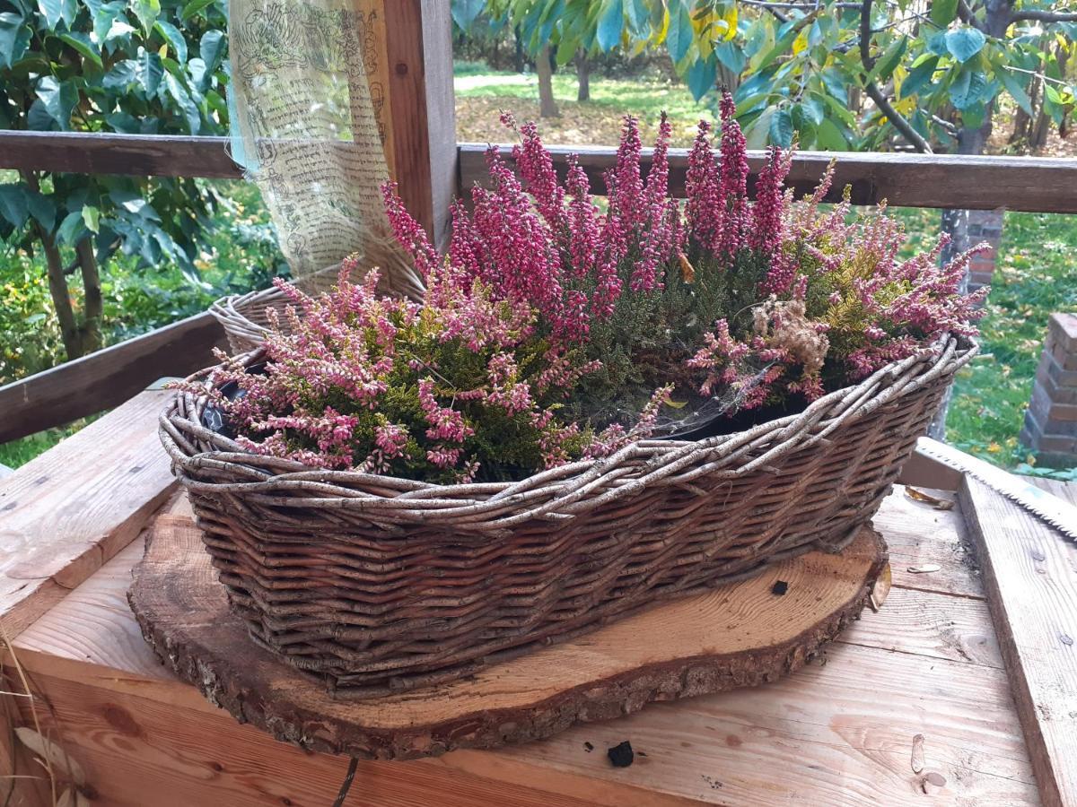 Szewska Pasja Agroturystyka Wiejska Leśna Esterno foto