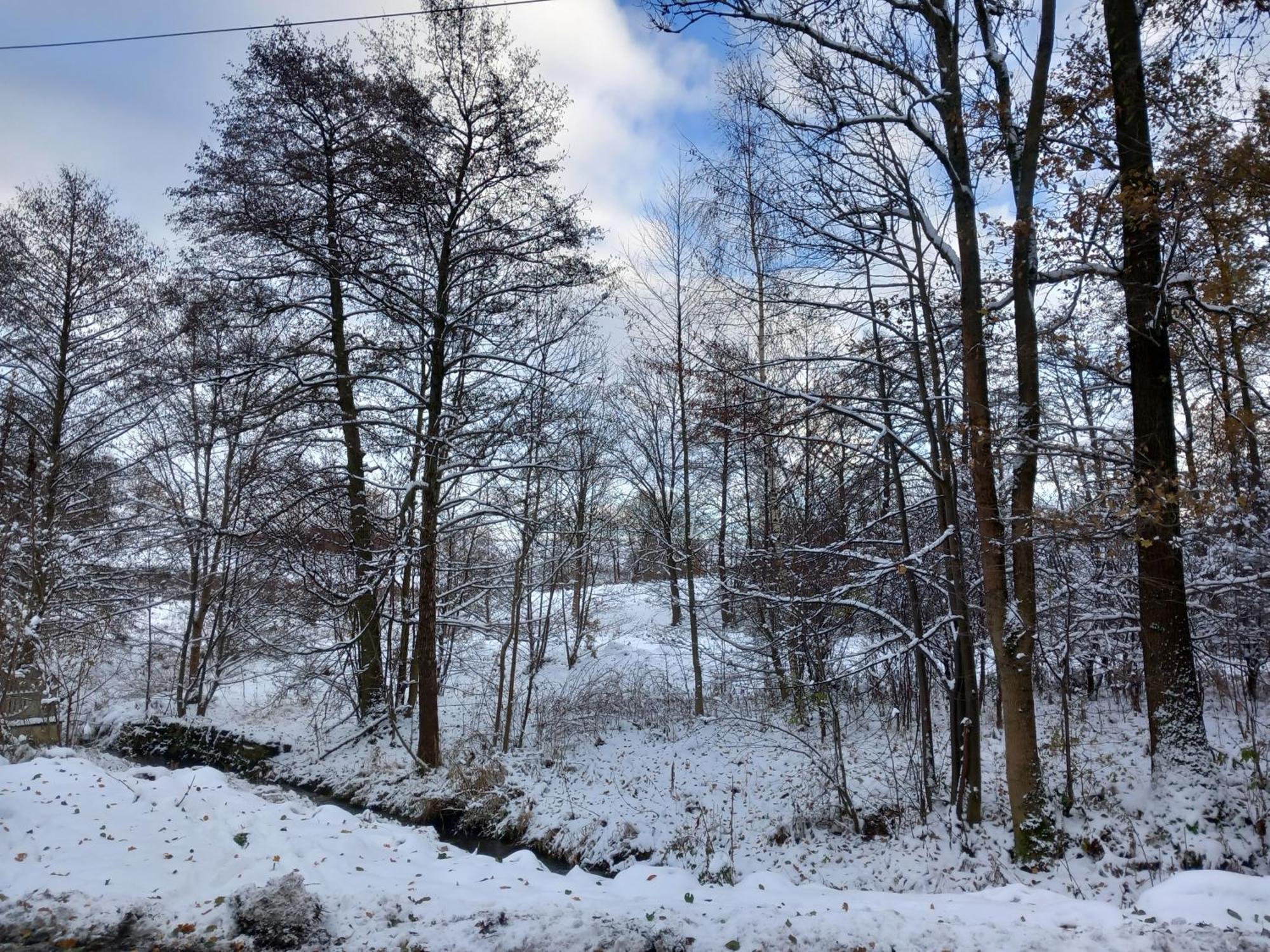 Szewska Pasja Agroturystyka Wiejska Leśna Esterno foto