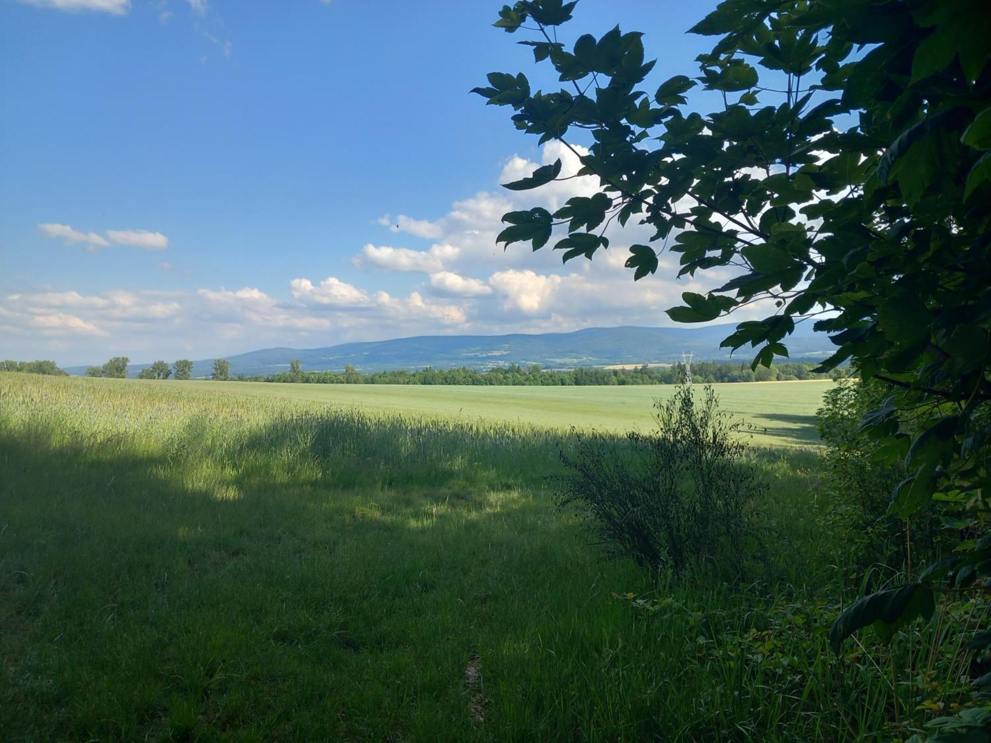 Szewska Pasja Agroturystyka Wiejska Leśna Esterno foto